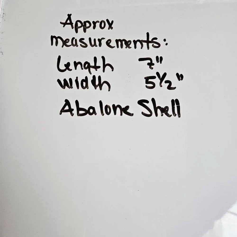 Abalone Shell - Picture 7 of 7